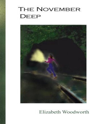 cover image of The November Deep